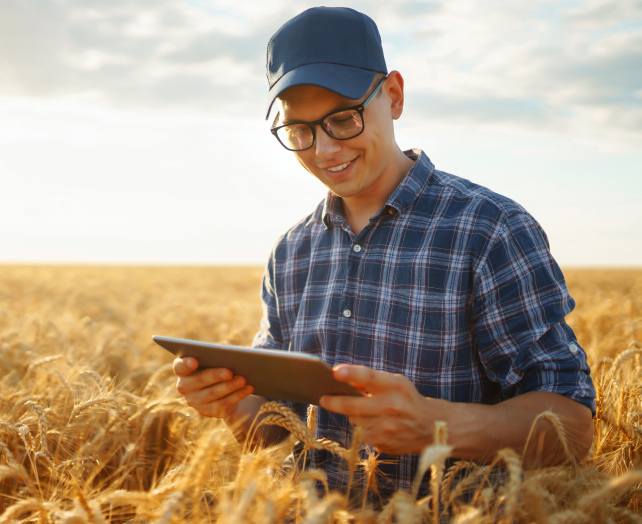 Produtor rural utilizando o aplicativo no campo
