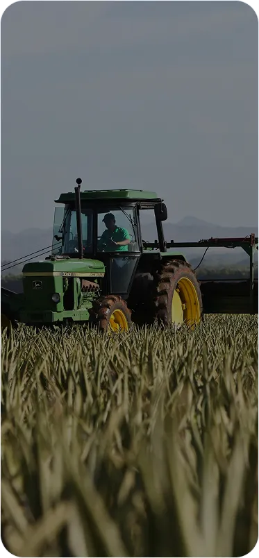 Tecnologia e educação: trazendo força ao agronegócio
